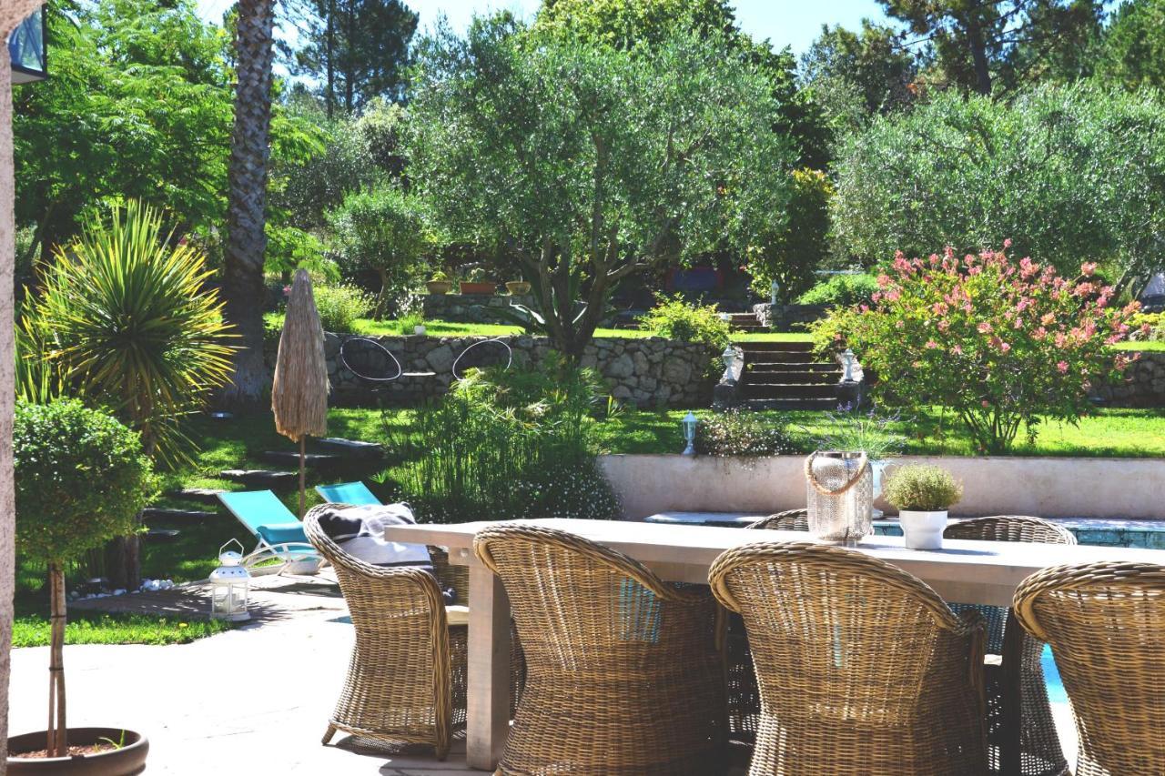 Maison De Vacances Villa Cardabella Le Tignet Kültér fotó