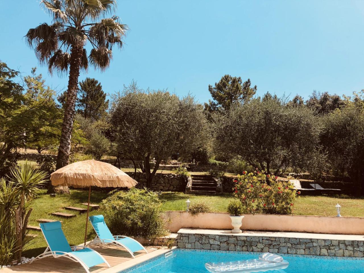 Maison De Vacances Villa Cardabella Le Tignet Kültér fotó